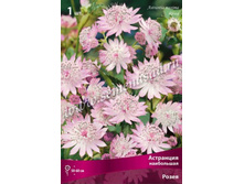 ��������� ���������� �����.jpg