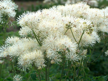 ����������� �����