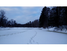 IMG 20160313 172207.jpg