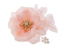 9105. �����. �����-�����. ������ 10 ��. 34 ���.jpg