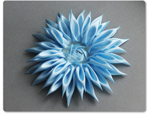 ���� �� ������� �� ������� - �������