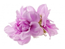 5054. �����. ����. ������ 11 ��. 49 ���.jpg