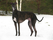 12672186 996860360380387 8524069102519474420 o.jpg