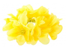 1750. �����. �������. ������ 6 ��. 24 ���.jpg