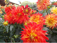 №69 ������ �����.jpg