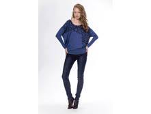 ����� AG-V620.png