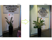 ������������ �������� ������������.jpg