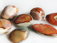 ����, �������:111058, 456�