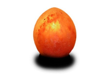 ������� ����� ���� 1496�