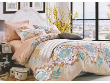 ���. CSP255-4.jpg