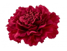 7114. �����. �����-�����. ������ 11 ��. 59 ���.jpg