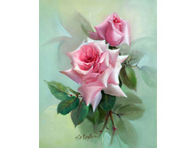 ������� ����-����� � �������.jpg