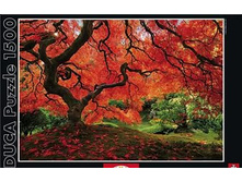 16310 ���� 1500 ������� ����� � �������� ����.jpg