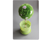 ������ ������� - �������