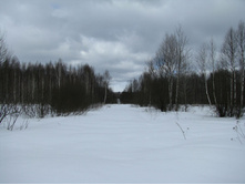 IMG 7528.jpg