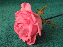 ���� �� ���������