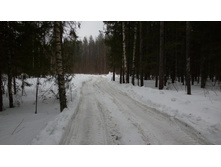 IMG 20160313 130907.jpg