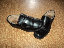 �� ����������� ���� �������"Vitacci"�.33(22)-500 ���.