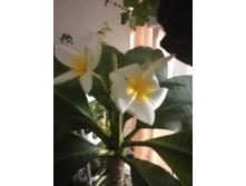 IMG 20151007 213032.jpg