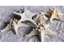 ������� ������ ������������ ����� ��., �������:8922,57�