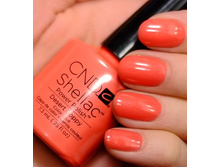 Shellac.Desert Poppy.���.����