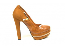 ������� ����� IDEYAL - 2050 ���