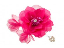 9120. �����. �����-�����. ������ 10 ��. 34 ���.jpg