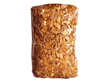 ���� �����