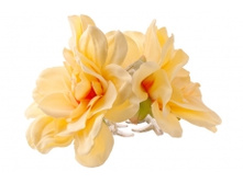 5060. �����. ����. ������ 11 ��. 49 ���.jpg