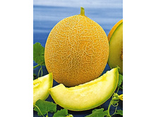 ���� ���������� (��) 4,00���..[���.9000205]