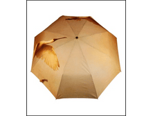 Image384.png