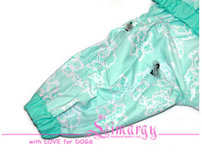 ��� ����2.jpg