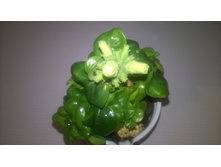 WP 20160303 22 21 07 Pro.jpg