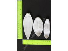 ����� ����� + ����, ���. 3028 (3 ��) 269�.jpg