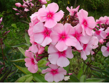 ����� ������� � ��������� ������� (�ϣ ����)