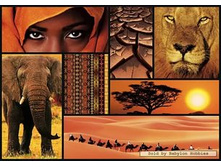 16293 ���� 1000 ������� ����� ������.jpg