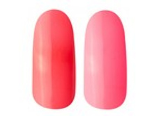 9.jpg�����-������ BLUESKY ���� 240 ���.