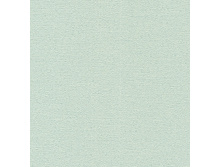 3842.jpg