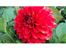 №50 ����������.jpg