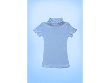 �������(���������) �������� � �������� ������� ���.4261 �������� �����.jpg