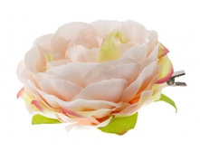 5545. �����. �����. ������ 9 ��. 89 ���.jpg