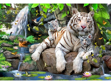 14808���� ���� 1000 ������� ����� ����������� �����.jpg