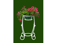 ����� �� ������ 60 ��