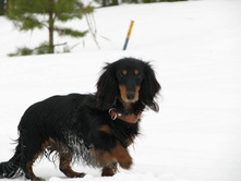 12640230 996861243713632 6278671128136600257 o.jpg