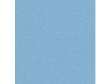 3803.jpg