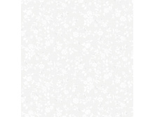3866.jpg
