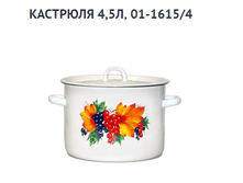 �������� 4,5�, 01-16154 303�.png