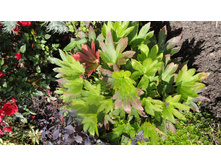 �������������