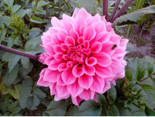 №18 ������� ������.jpg