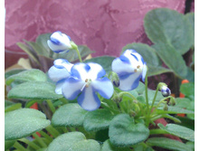 IMG 20160224 215950.JPG